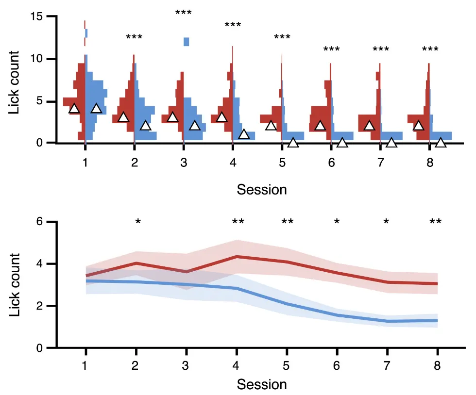 Learning Curve Analysis