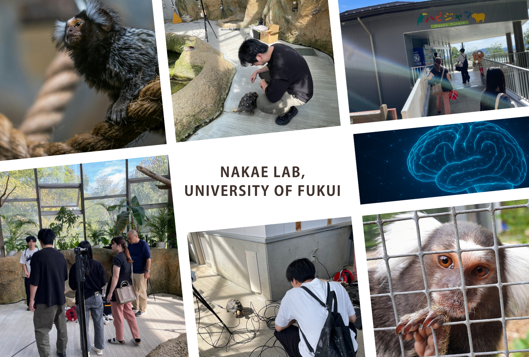 研究室の活動風景